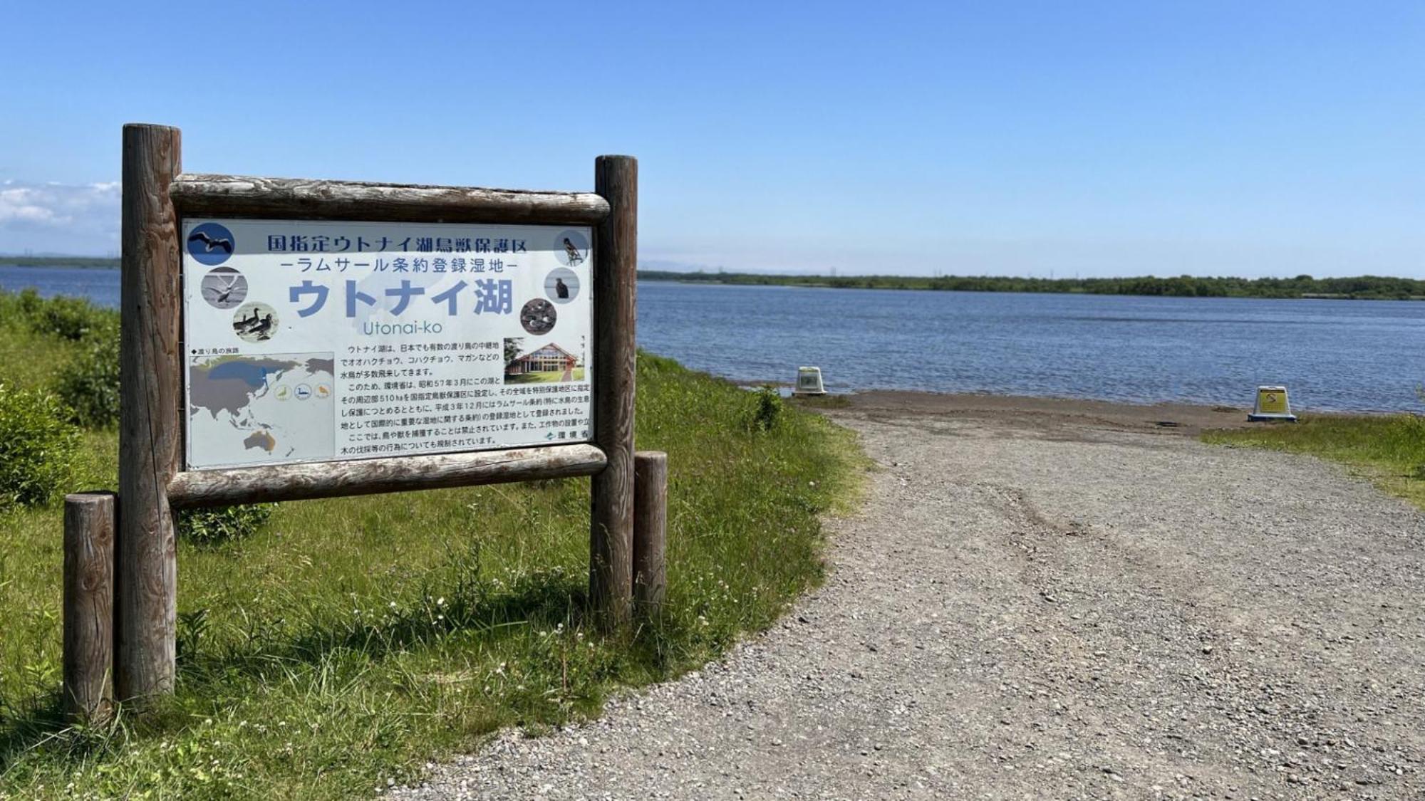 Toyoko Inn Hokkaido Tomakomai Ekimae Zewnętrze zdjęcie